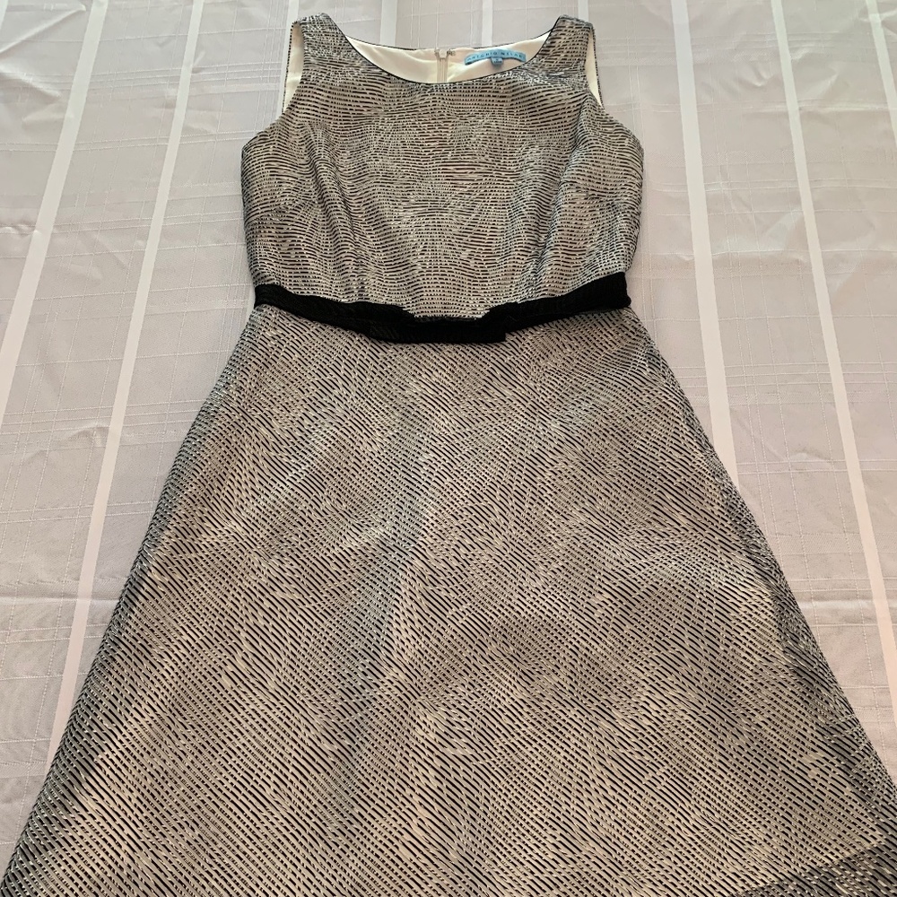 Antonio Melani Black and White Shift Dress